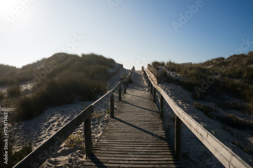 Small wooden path leading through the dunes of Tocha
