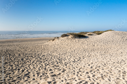 Fototapeta Naklejka Na Ścianę i Meble -  Sand dunes in Praia da Tocha, Portugal