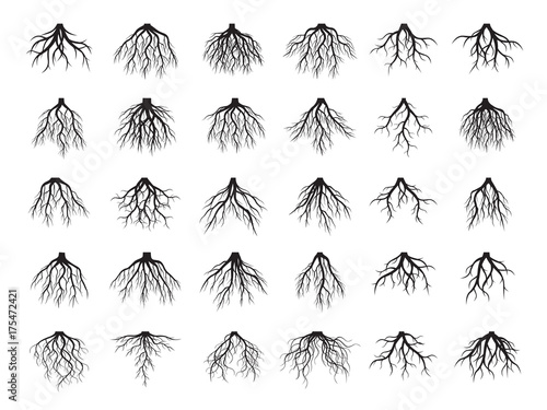 Set of Black Roots Tree. Vector Illustration.