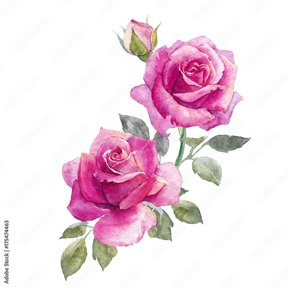 Watercolor roses composition