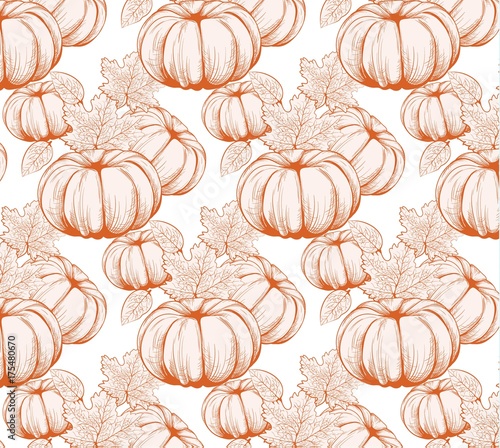 Pumpkin pattern background. Vector Line art hand drawn graphic style illustra...
