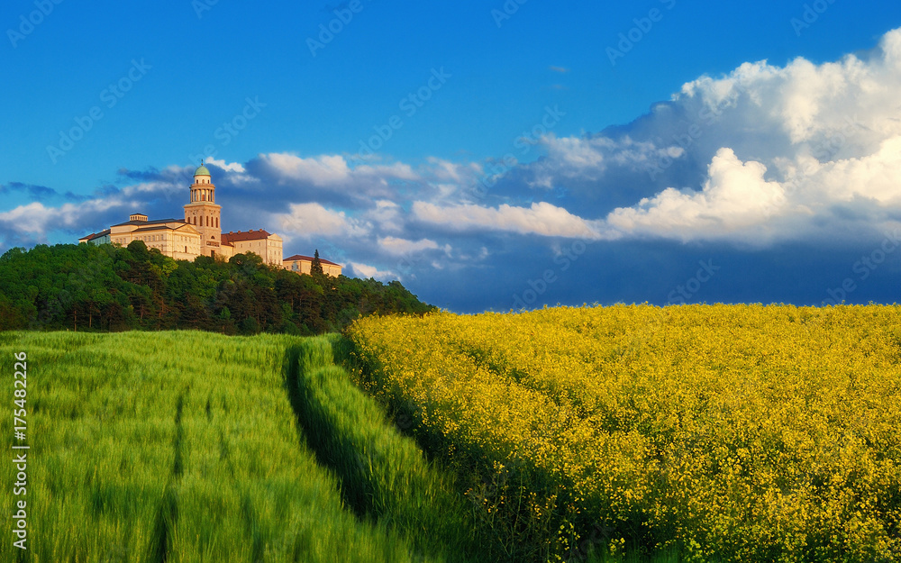 Pannonhalma Archabbey with wheat and rapeseed field in Hungary