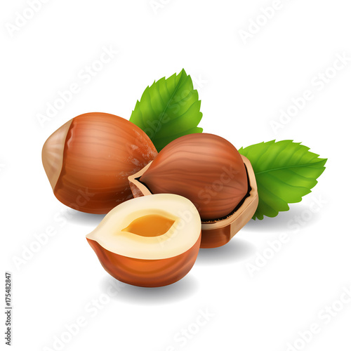 Hazelnuts with leaves realistic