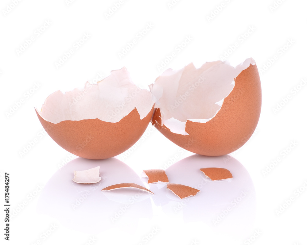 eggshell isolated on white background eggshell isolated on white background