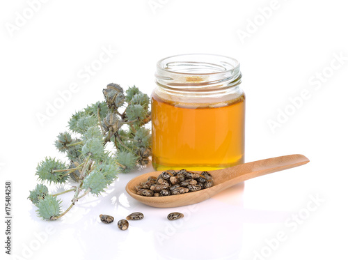 Castor oil with castor fruits, seeds on white background