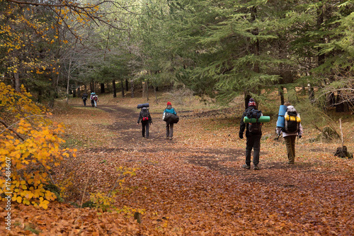 Trekking di  turisti  escursionisti che camminano nel bosco d autunno - Sicilia Etna