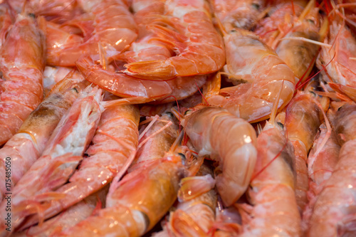 Closeup of shrimps for sale on a fish market
