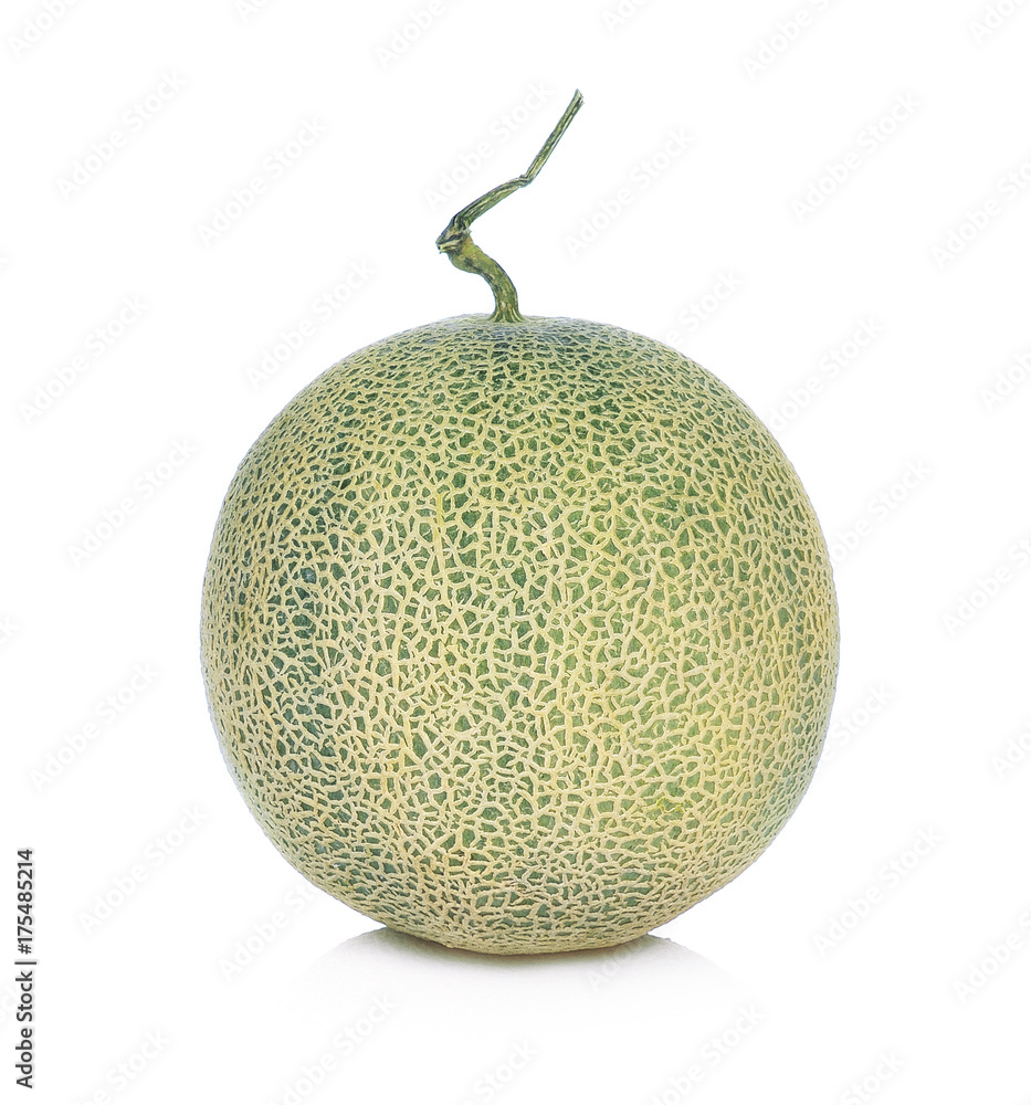 cantaloupe melon isolated on white background cantaloupe melon isolated on white background