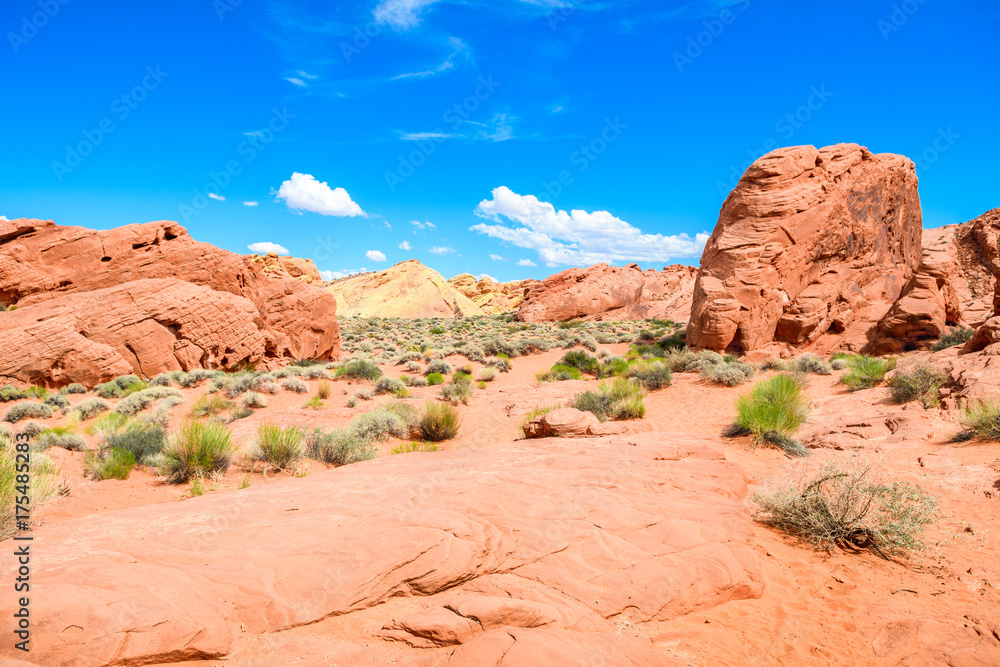 amazing valley of fire desert landscape, nevada amazing valley of fire desert landscape, nevada