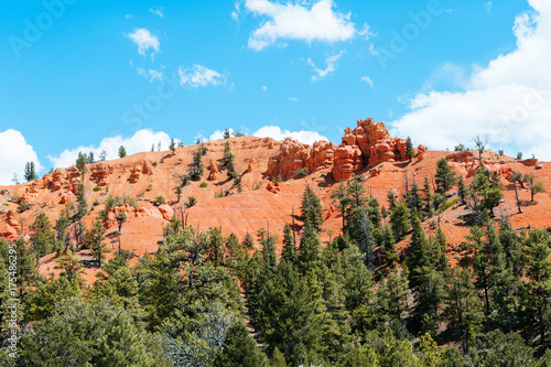 views of red rock canyon, Usa