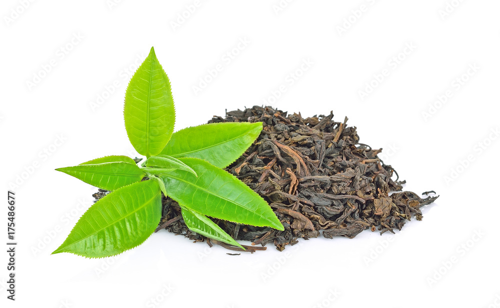 green tea leaf isolated on white background green tea leaf isolated on white background