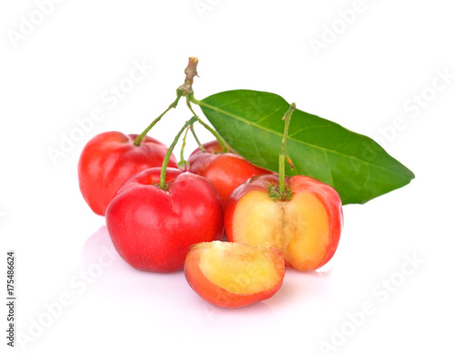 Barbados cherry, Malpighia emarginata, Family Malpighiaceae photo