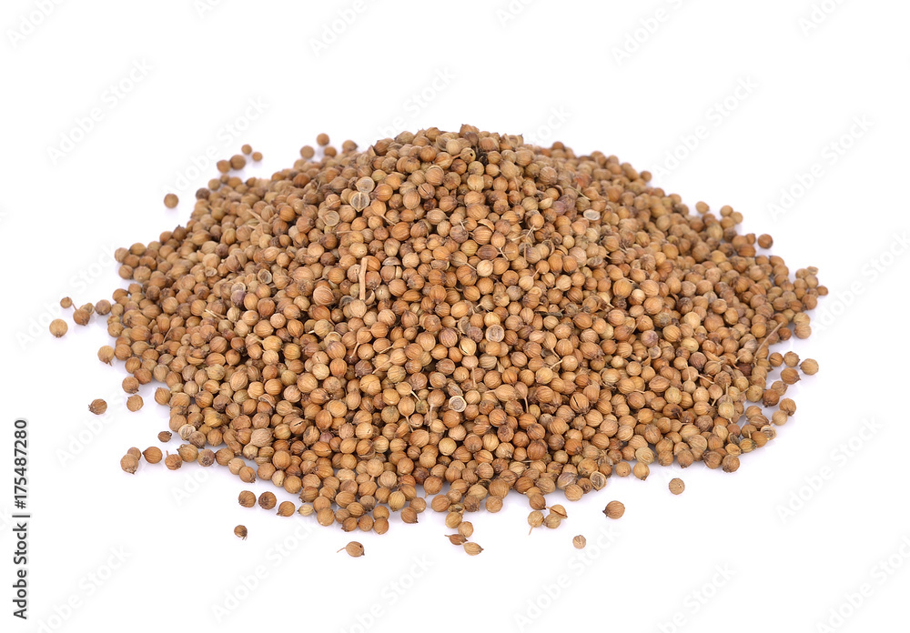 Pile of coriander seeds on white background Pile of coriander seeds on white background