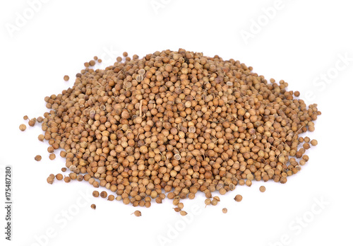 Pile of coriander seeds on white background