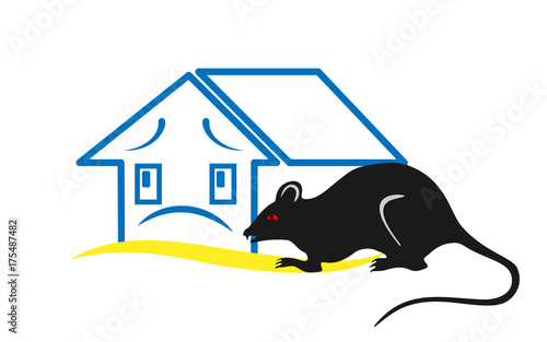 black rat near a house