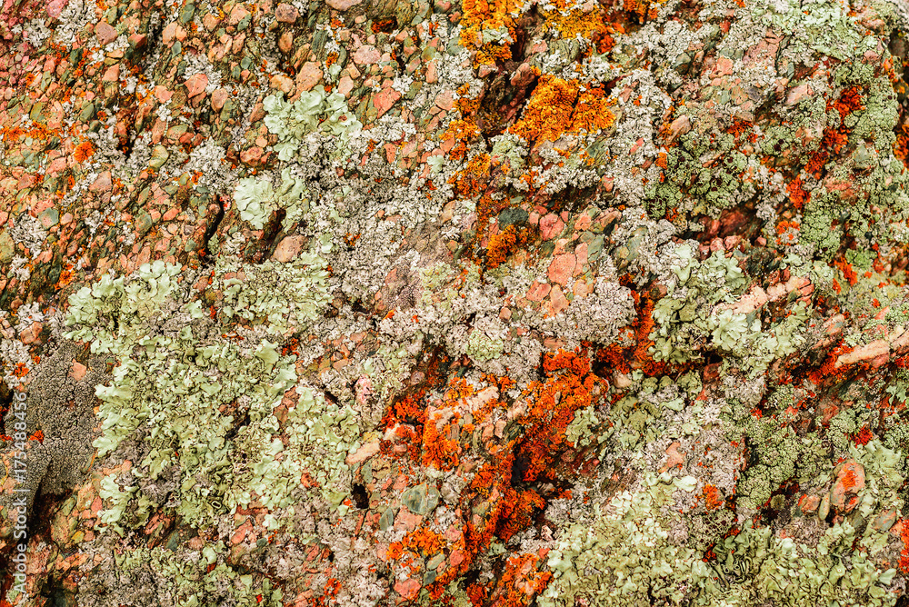 Old stone wall with colorful moss. texture background Old stone wall with colorful moss. texture background