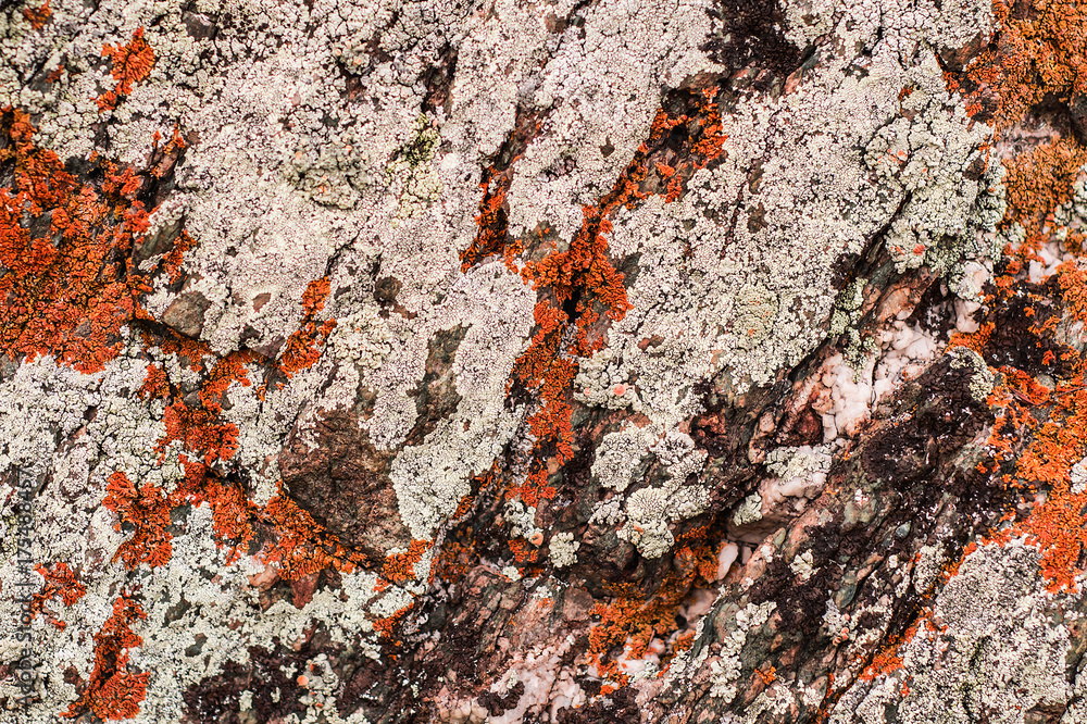 Old stone wall with colorful moss. texture background Old stone wall with colorful moss. texture background