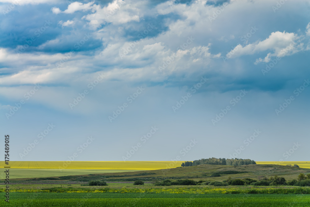 Fototapeta premium Green and yellow fields under the beatiful dramatic clouds