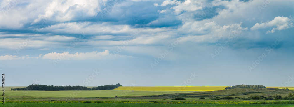 Green and yellow fields under the beatiful dramatic clouds