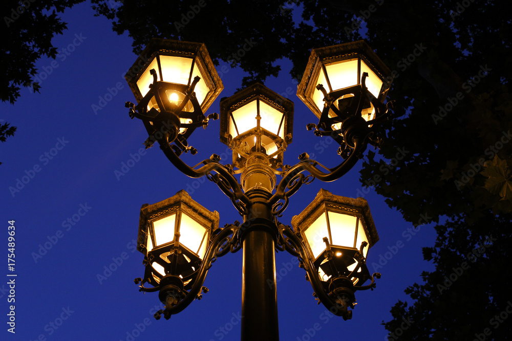 street light in the dark blue night