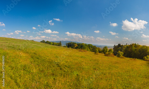 Vibrant summer meadow with azure sky