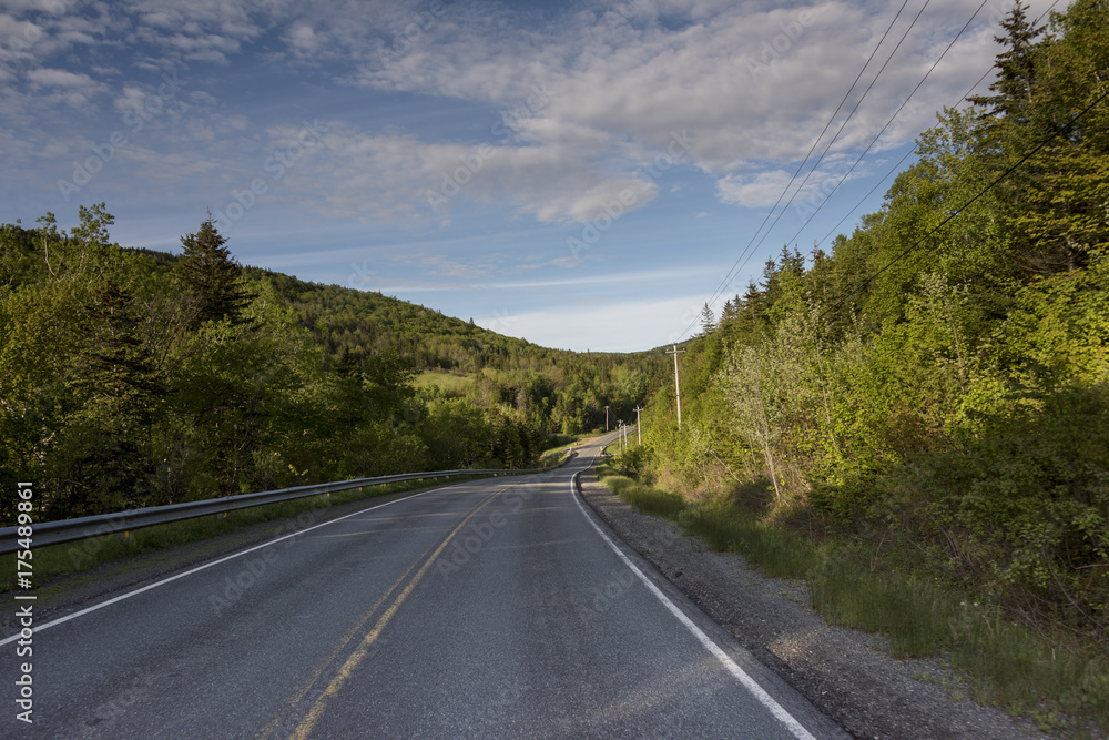 Empty road amidst trees by hills, Ceilidh Trail, Cape Breton Island, Nova Scotia, Canada