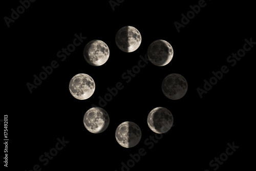 Wallpaper Mural Images of the moon in each major lunar phase, in a circle diagram Torontodigital.ca