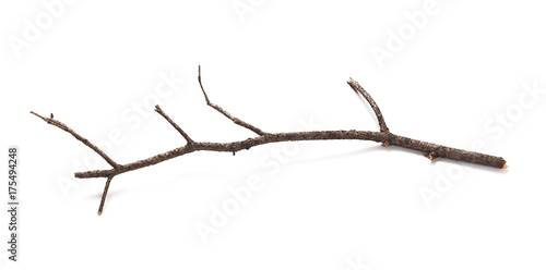 Dry branch isolated on white background