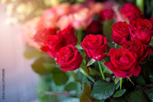 Beautiful bouquet of red and pink roses