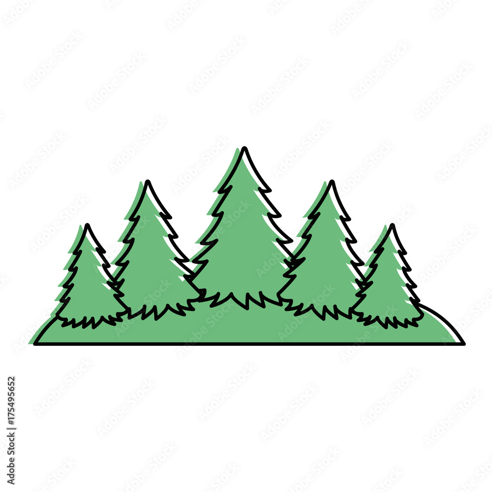 Obraz premium Pine forest scene silhouette