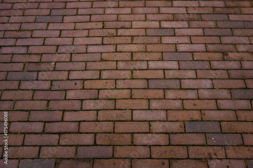 Wallpaper Mural brown brick texture Torontodigital.ca