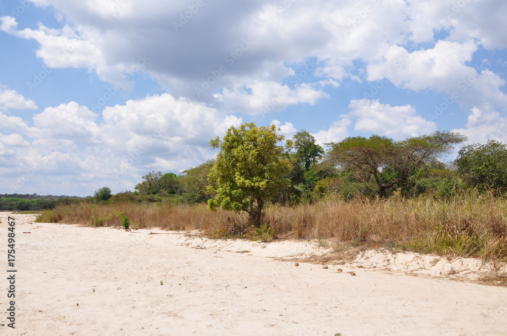 The African landscape. Dry river, Tanzania The African landscape. Dry river, Tanzania