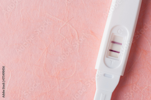 the pregnancy test
