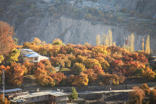 Autumn in Pakistan photo