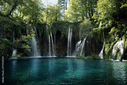Fototapeta Naklejka Na Ścianę i Meble -  waterfall in forest, Plitvice Lakes, Croatia