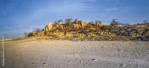 Kubu Island, Botswana photo