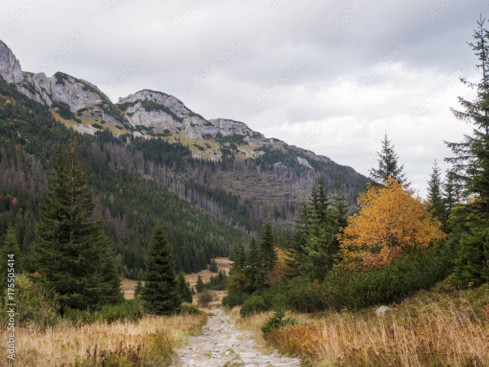 A path in the mountains. Valley. Autumn.