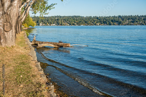 Park Shoreline Landscape 3