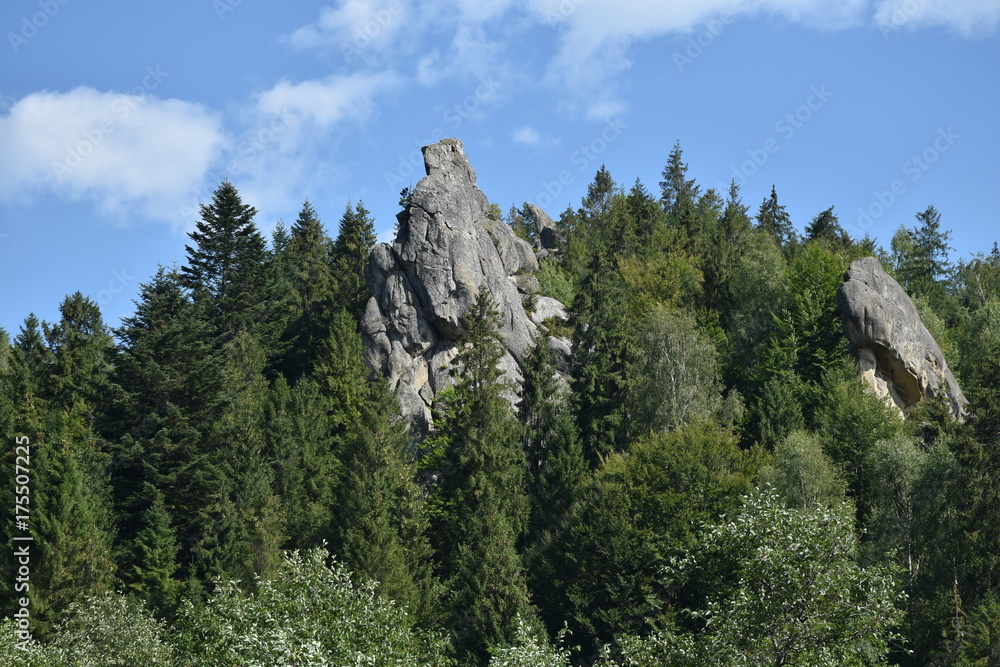 Obraz premium The remnants of the fortress in the village of Urych. Tustan