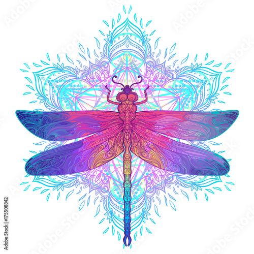Ornate dragonfly over colorful round mandala pattern. Ethnic patterned vector illustration. African, indian, totem, tribal, zentangle design.