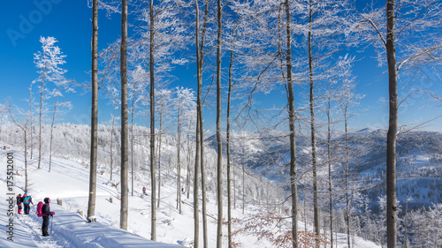 Fototapeta Naklejka Na Ścianę i Meble -  Beskidy