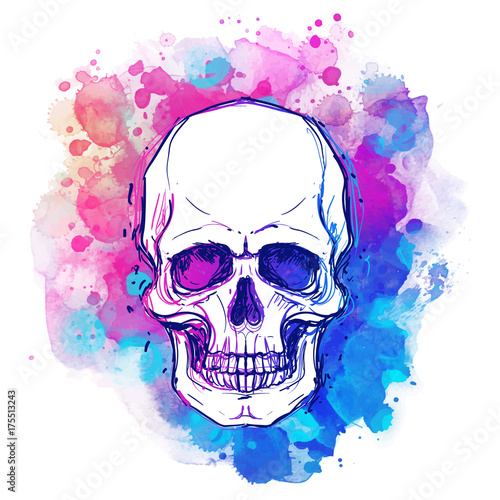 Watercolor sketchy skull with red, blue and purple colors isolated on white background.  Vector illustration.