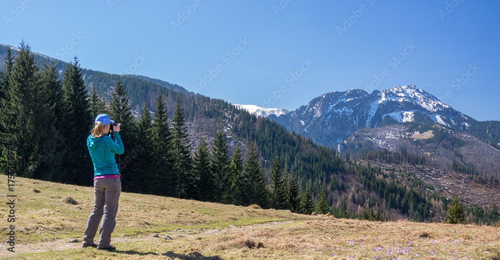 Naklejka premium Tatry