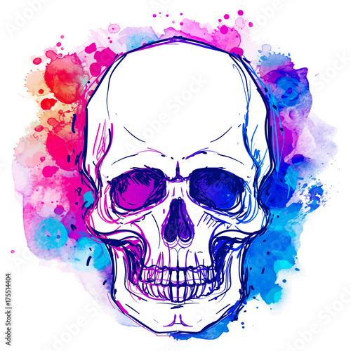 Watercolor sketchy skull with red, blue and purple colors isolated on white background.  Vector illustration.