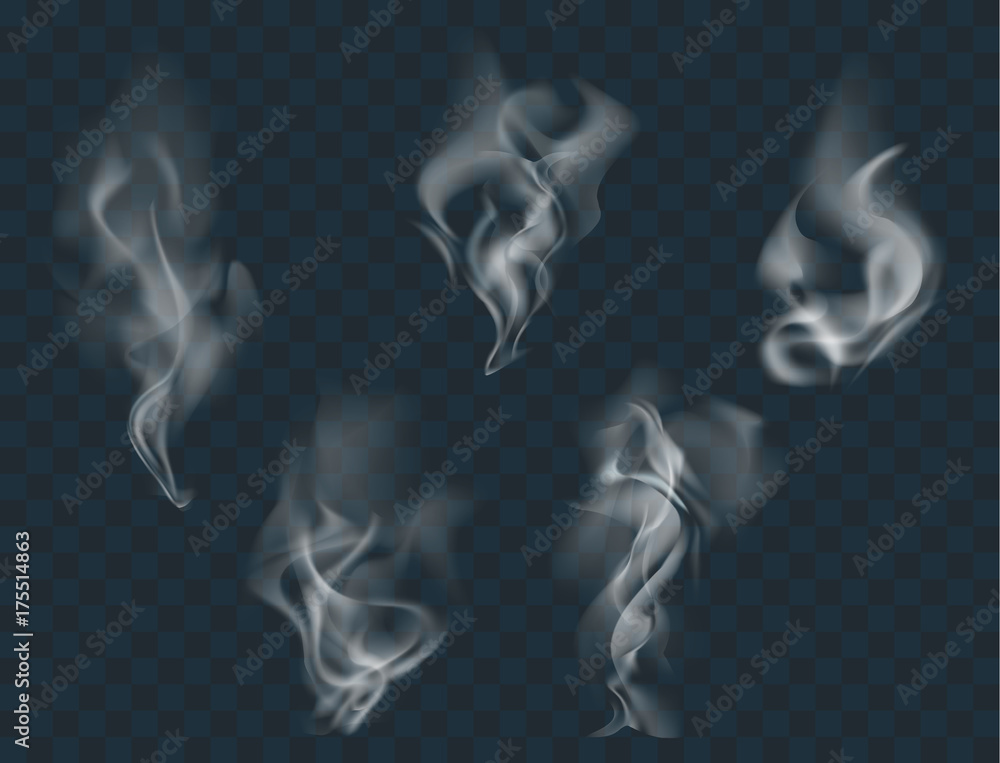 Fototapeta premium Vector set of realistic smoke, isolated transparent illustration