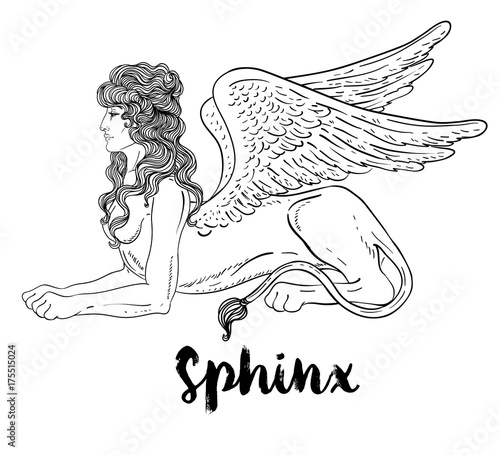 Sphinx, mythical creature with head of human, body of lion and wings. Victorian motif, tattoo design element. Vintage logo concept art. Isolated vector illustration