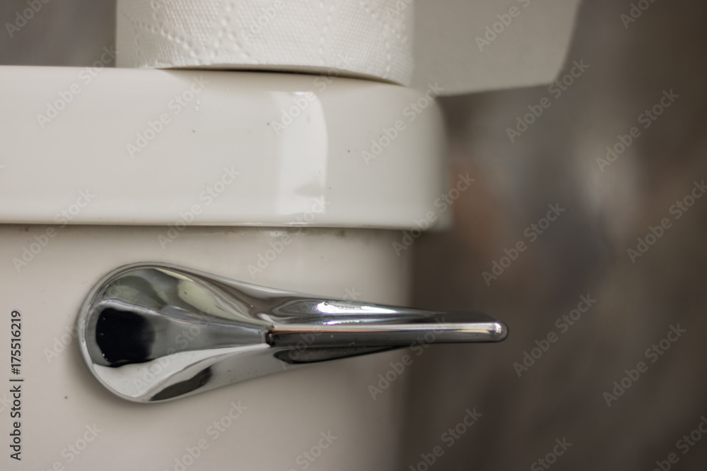 Macro: part of a toilet bowl with a handle and a roll of white toilet paper. Macro: part of a toilet bowl with a handle and a roll of white toilet paper.