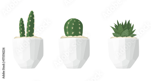 Fototapeta Naklejka Na Ścianę i Meble -  Cactus illustrations in a flat style isolated on a white background. Variety of decorative home plants cactus and succulent in white geometric minimalist ceramic pots. Set of vector flat illustrations