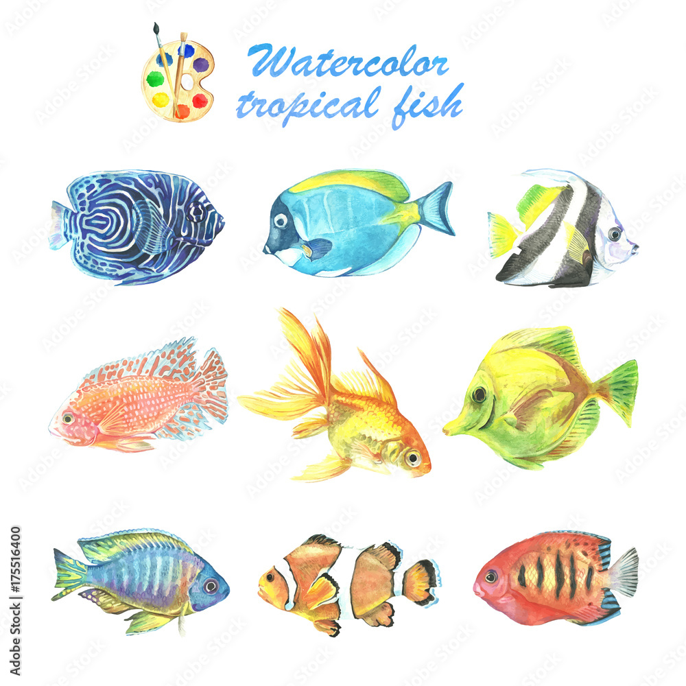 Naklejka premium Watercolor collection of tropical fish. Aquarium inhabitants.