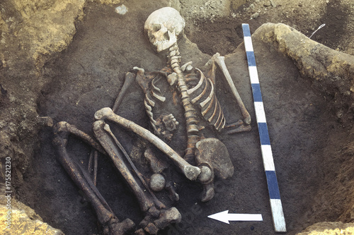 Bild auf Leinwand Archaeological excavations and finds (bones of a skeleton in a human burial),  working tool, ruler, arrow direction north, a detail of ancient research, prehistory